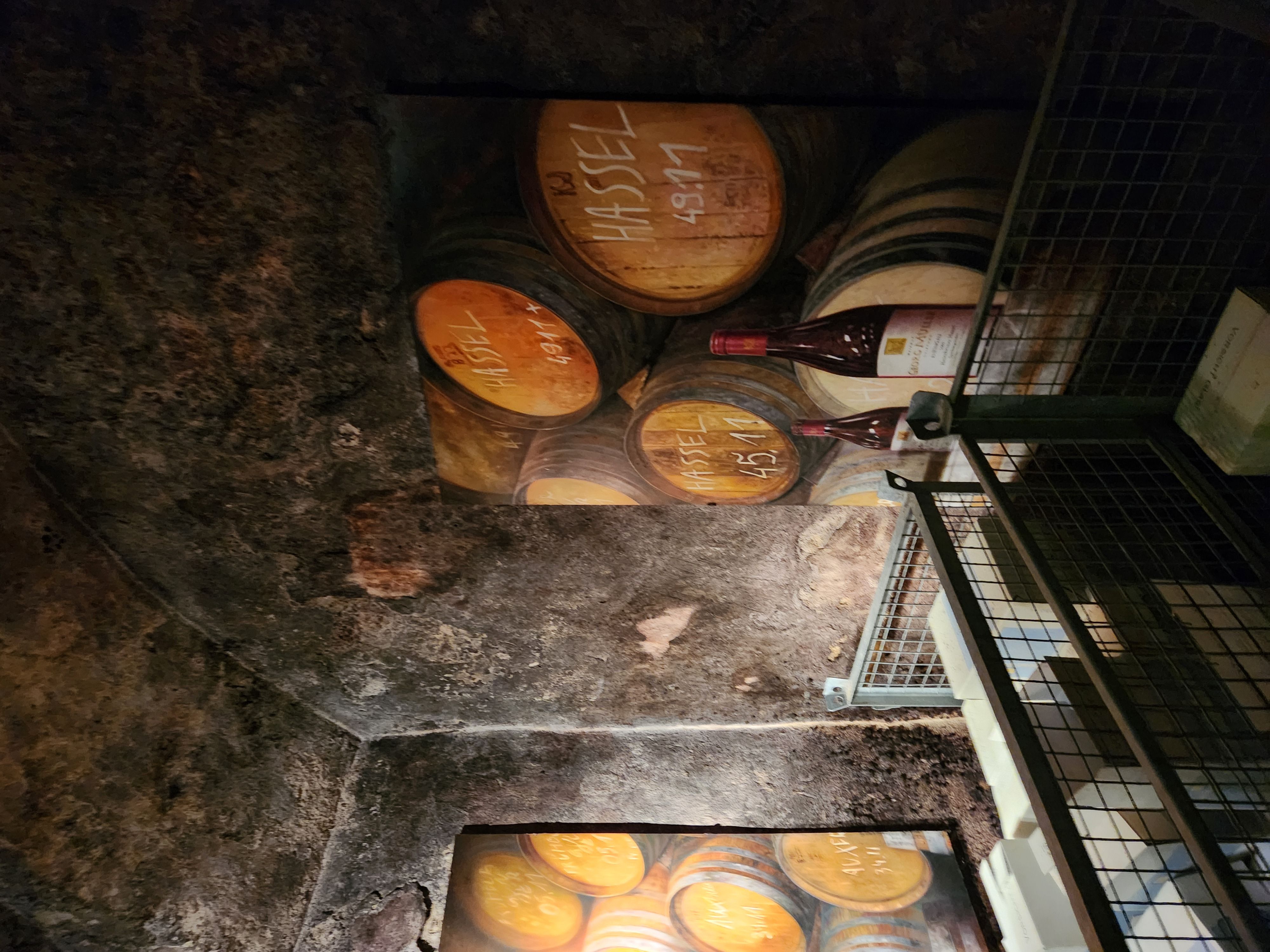 독일연수단 소식 10. Georg M?ller 와이너리 현장학습_2